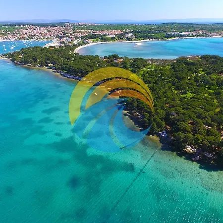 Apartman Rov 894